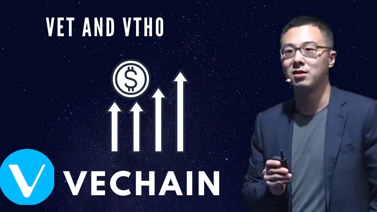 what is VeChain ? | EXPLAINED | VET and VTHO | English |