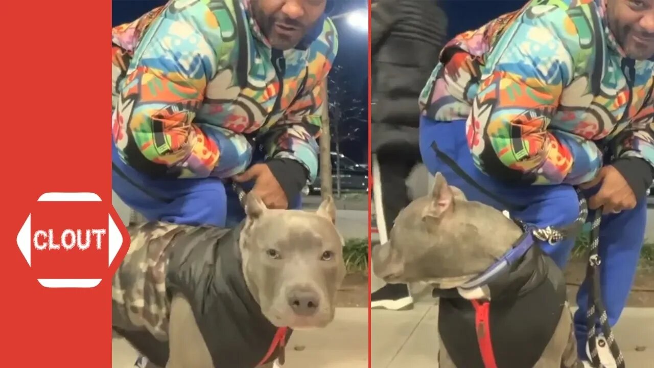 Jim Jones Says His Dog Has More Drip Than Most Rappers!