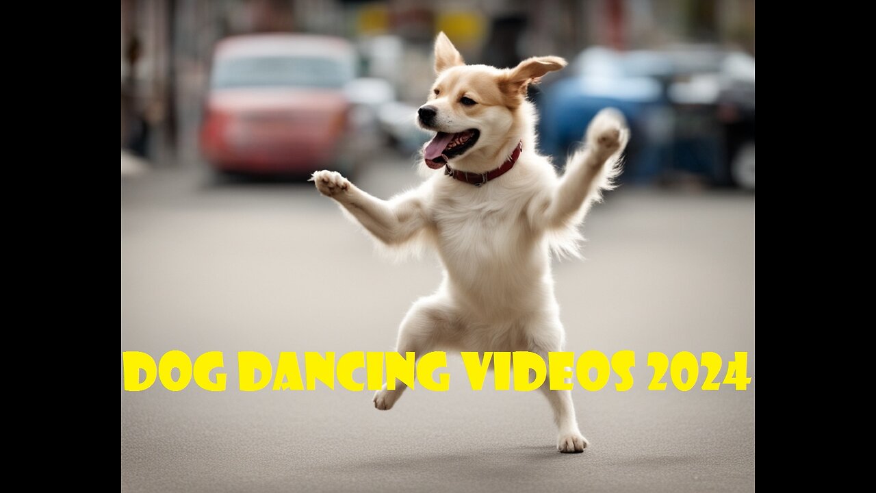 dog dancing videos2024