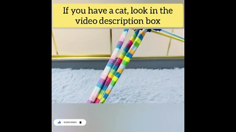 cute cat videos 😹 funny videos 😂108