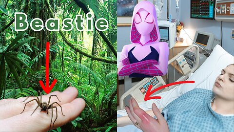 Spiderpalooza! 50 Jaw-Droppingly Insane Facts About These 8-Legged Creatures