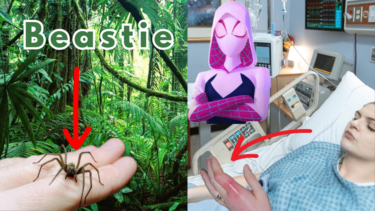 Spiderpalooza! 50 Jaw-Droppingly Insane Facts About These 8-Legged Creatures