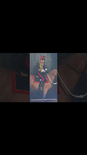 Replacement horse won't settle #horseguardsparade
