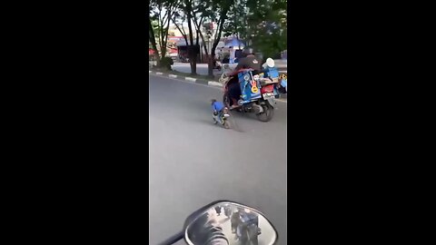 हसी रोक के दिखाओ #funny #reel #comedy #fb