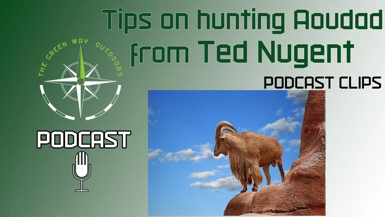 Tips on Hunting Aoudad from Ted Nugent with The Green Way Outdoors