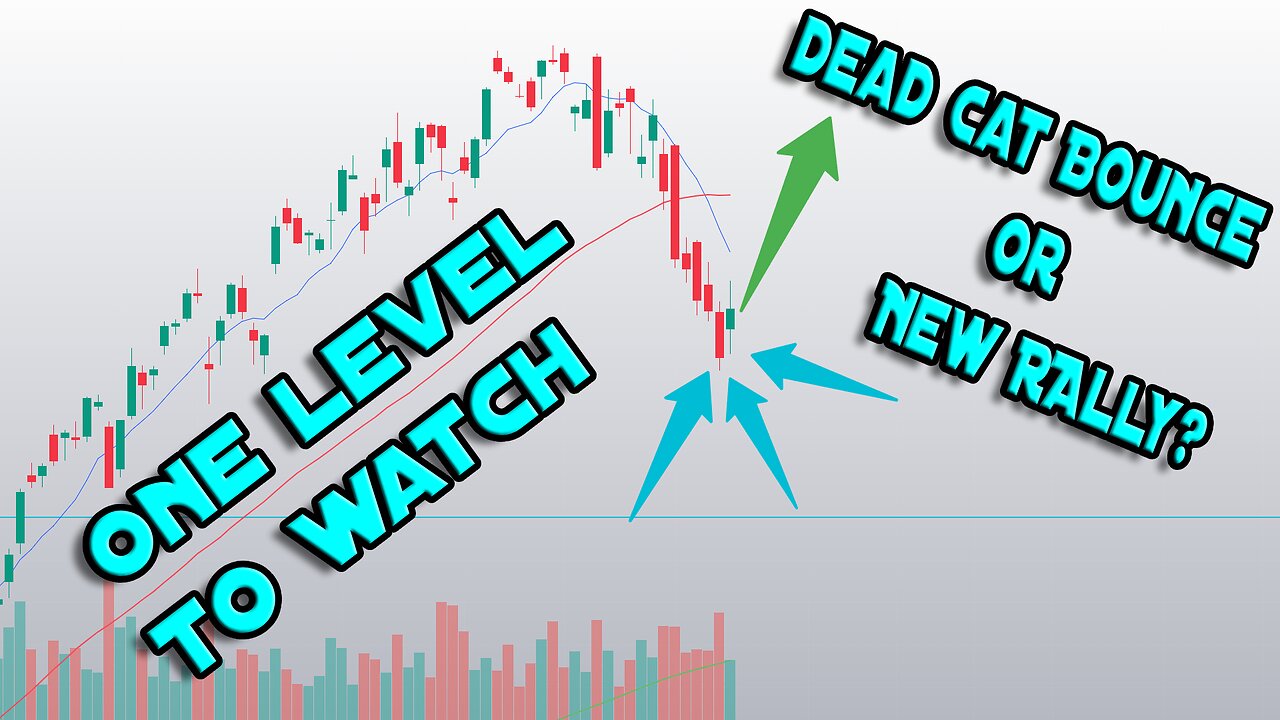 DEAD CAT BOUNCE OR NEW RALLY? - ONE LEVEL TO WATCH.