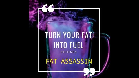 Fat Assassin
