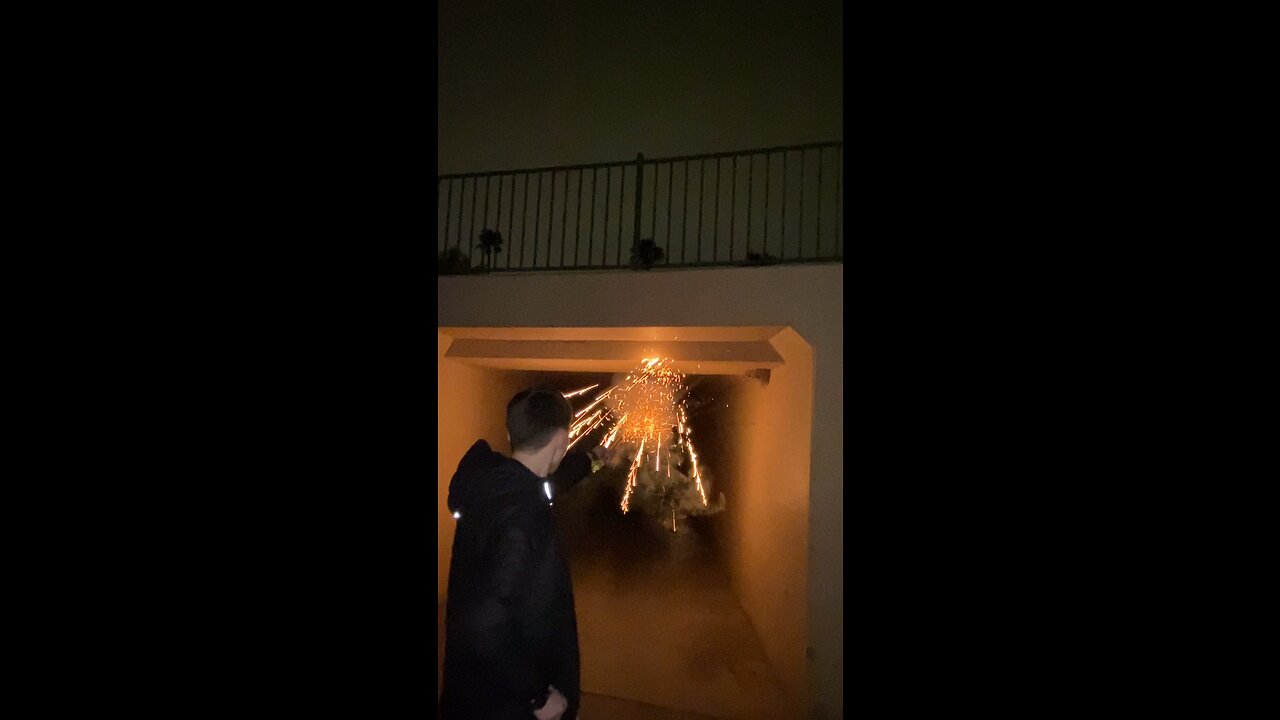 Shooting Roman candle fireworks in a tunnel at some hornet nests