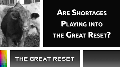 [The Great Reset] Are Shortages Playing into the Great Reset?