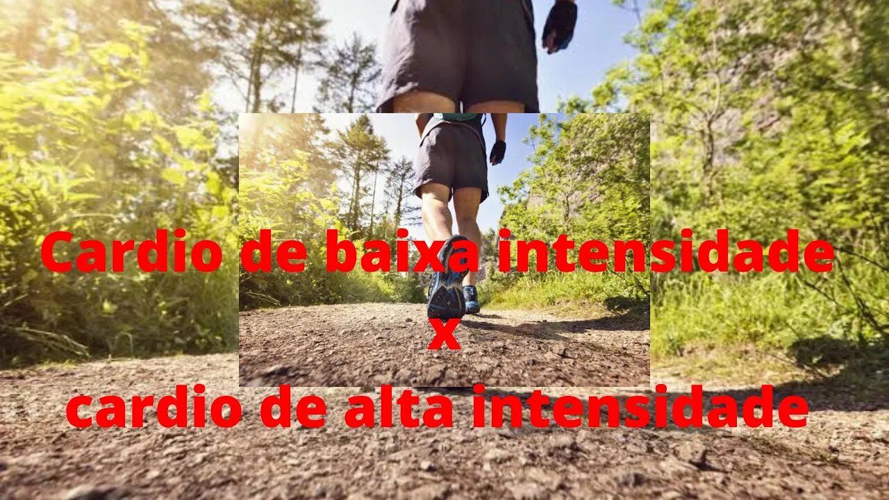 Qual é a diferença entre cardio de alta intensidade e baixa intensidade?