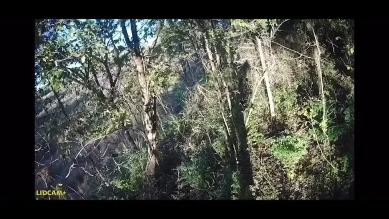 Sub to my channel please I’ll be doing something great