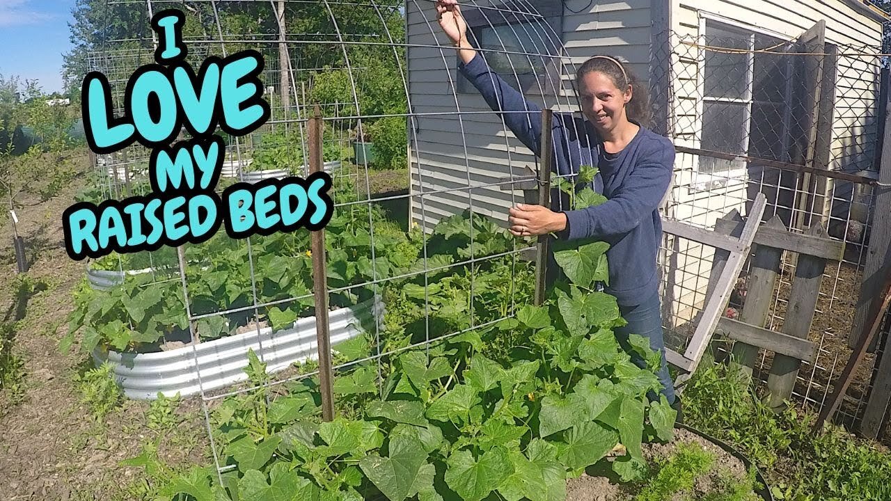 Welcoming a New Member to the Homestead / Garden Update