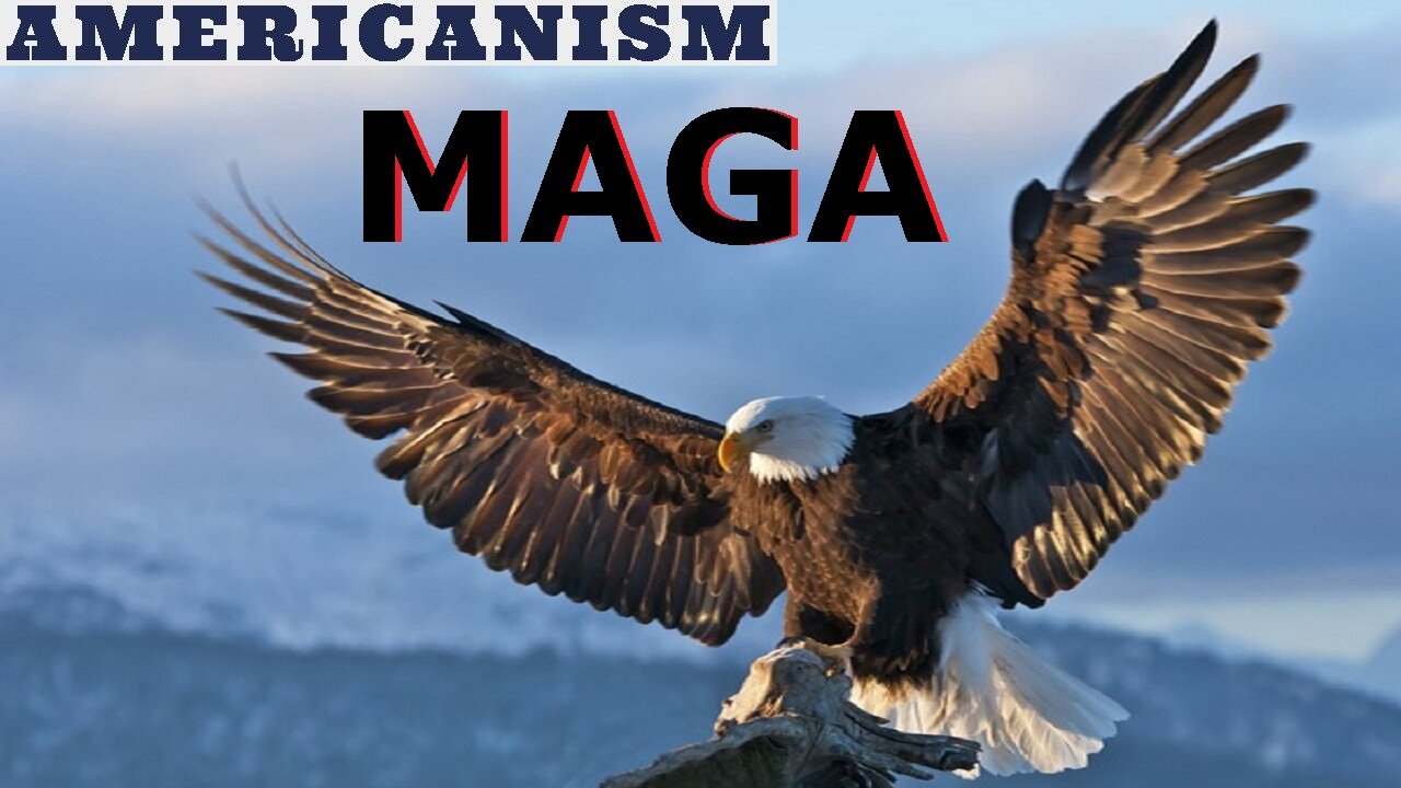 AMERICANISM MAGA NEVER SURRENDER