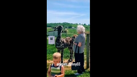 #funnyreels2024 #funnyvideoscomedy #funnyvideosclip #funnyvideosdownload #funnyvideosdaily #today