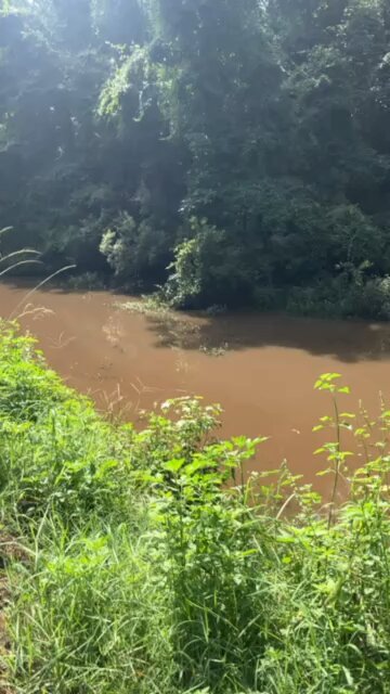 Down along the creek