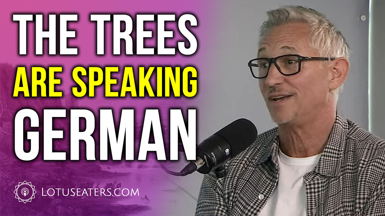 Local Boomer Sees Nazis Everywhere