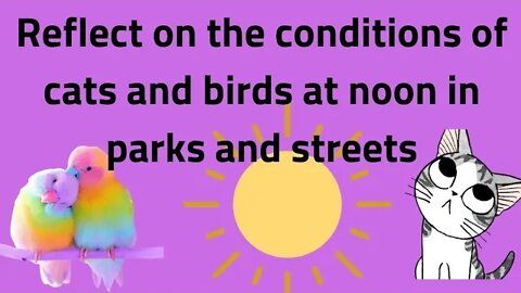 Reflect on the conditions of cats and birds at noon in parks and streets