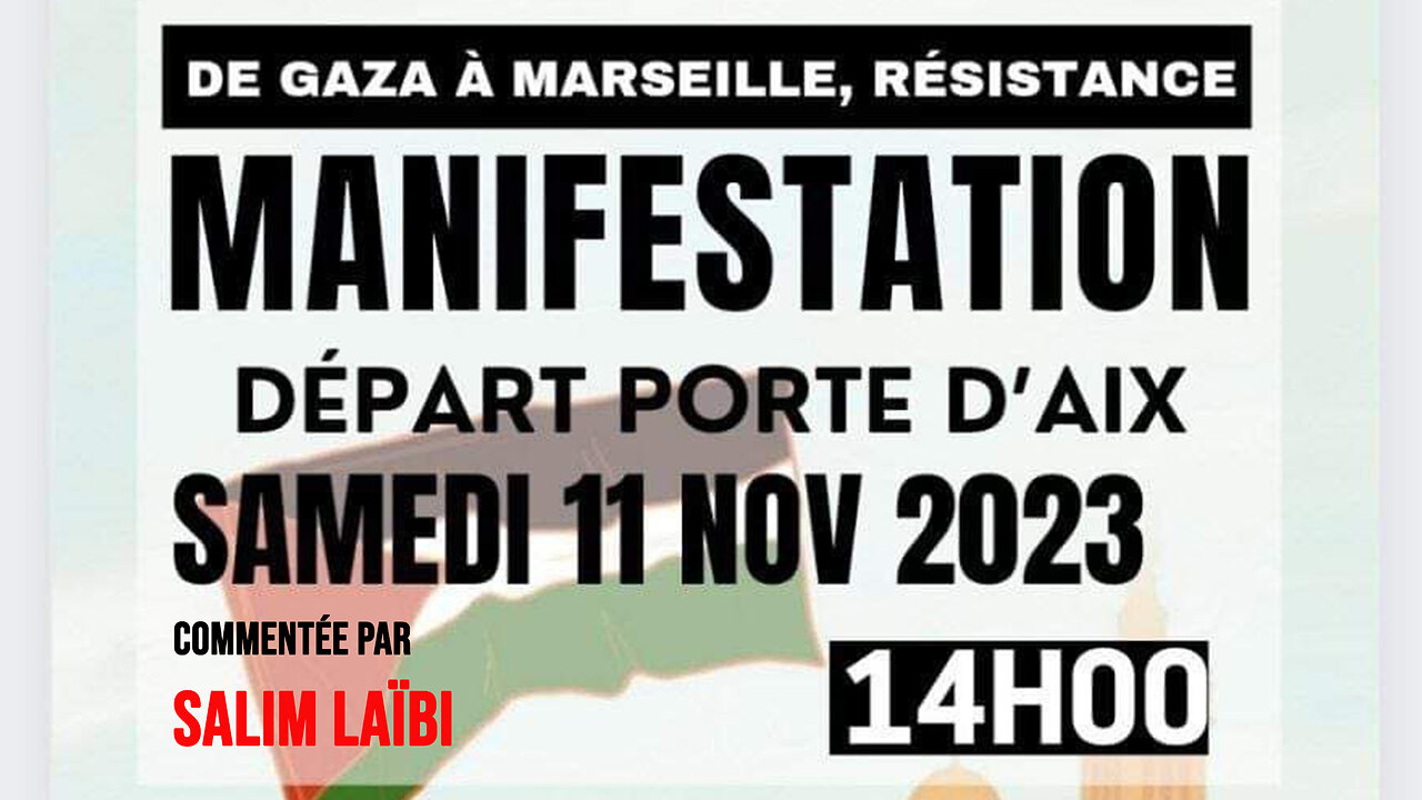 Manif pro Palestine à Marseille, commentée par Salim Laïbi