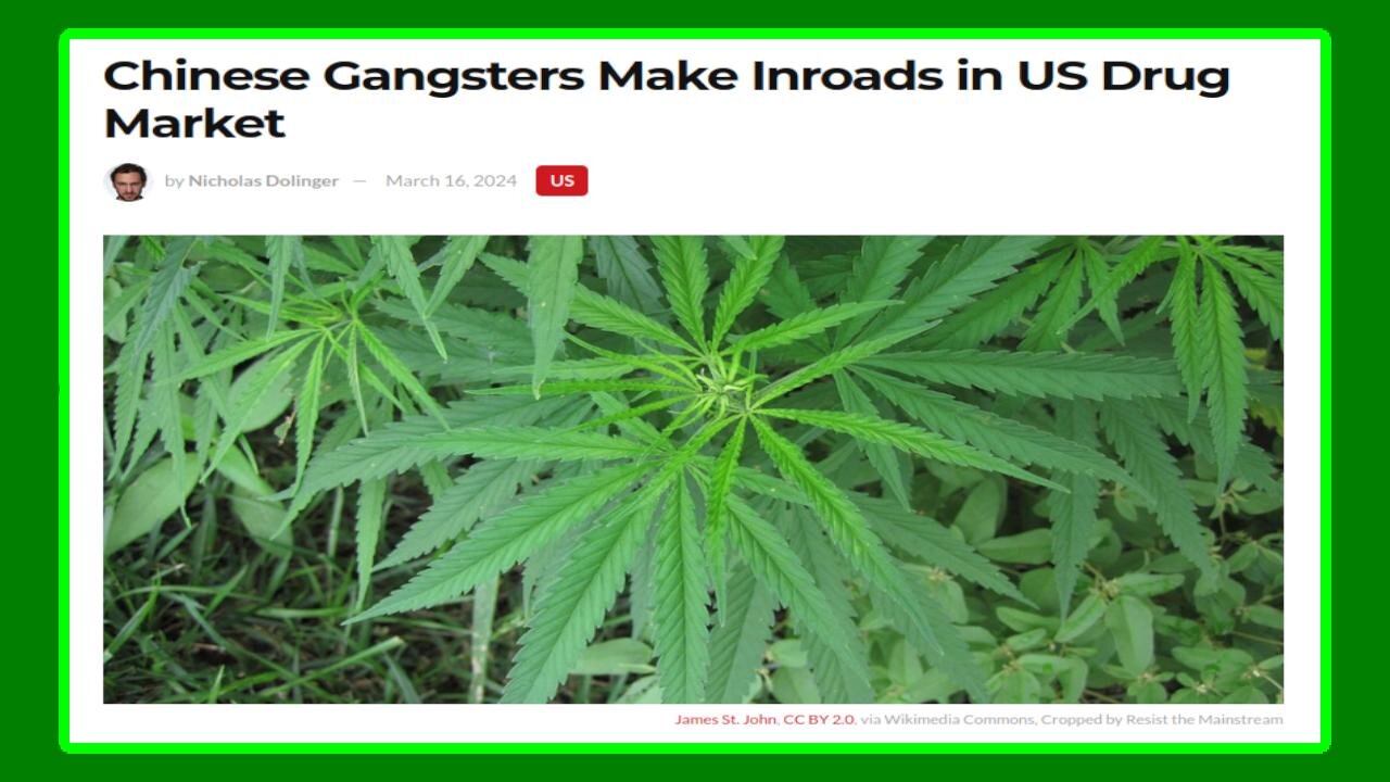 Is The Chinese Triad Taking Over The US Illegal Drug Market