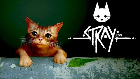 Ye Billi Wala Game hai kya -Stray Gameplay