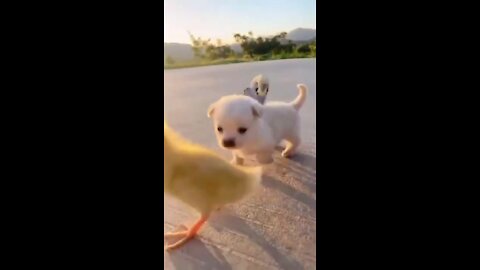 A good vibe video