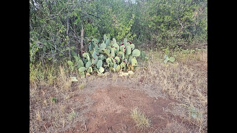 Deep in the heart of Texas.