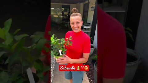Jenny’s LOVE for gardening, JOY AND HAPPINESS is SOOO CONTAGIOUS! 🧑‍🌾❤️🌱 #shorts #viral #tiktok