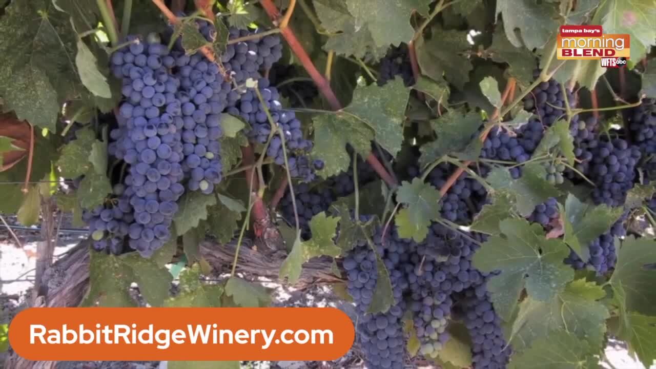 Rabbit Ridge Winery | Morning Blend