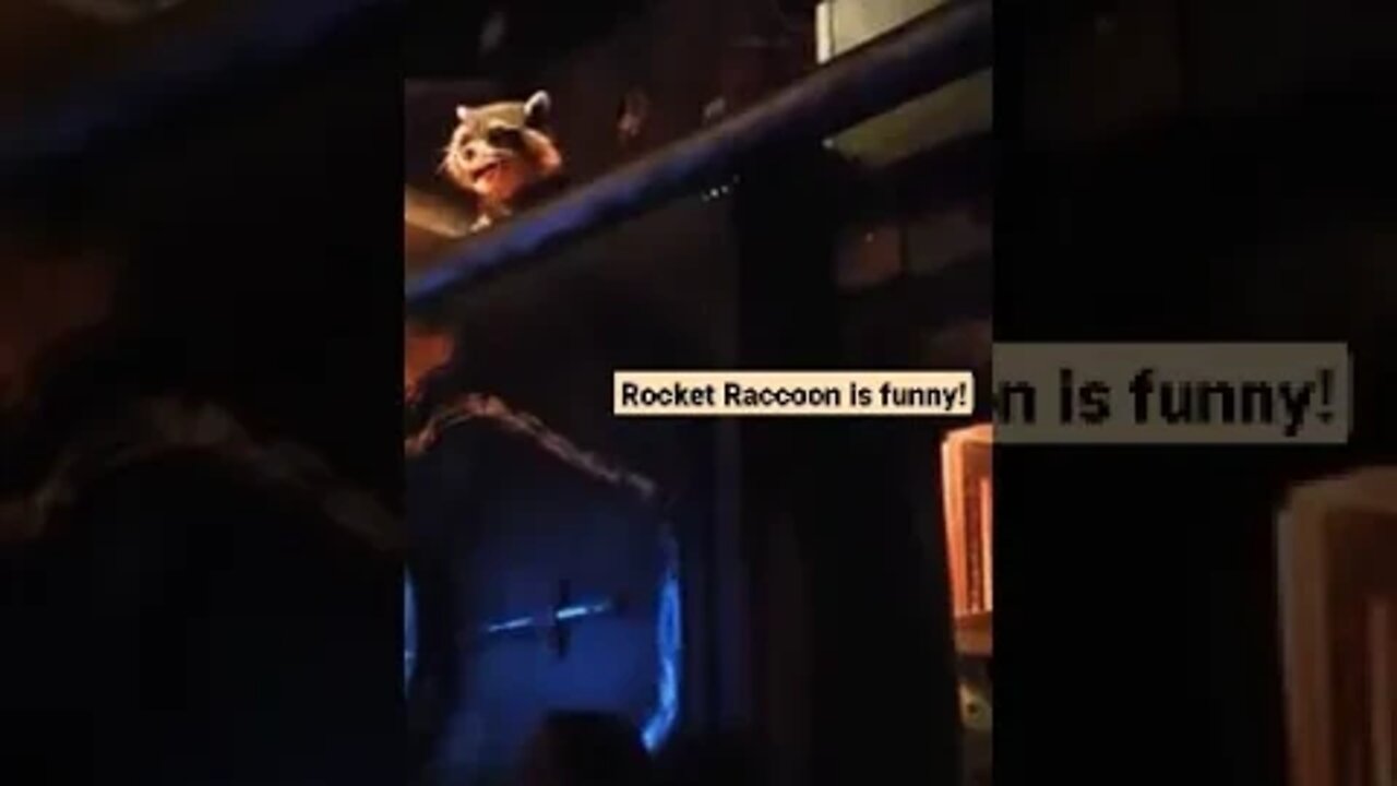 Rocket Raccoon While In Line For Guardians Of The Galaxy Ride @ Disneyland