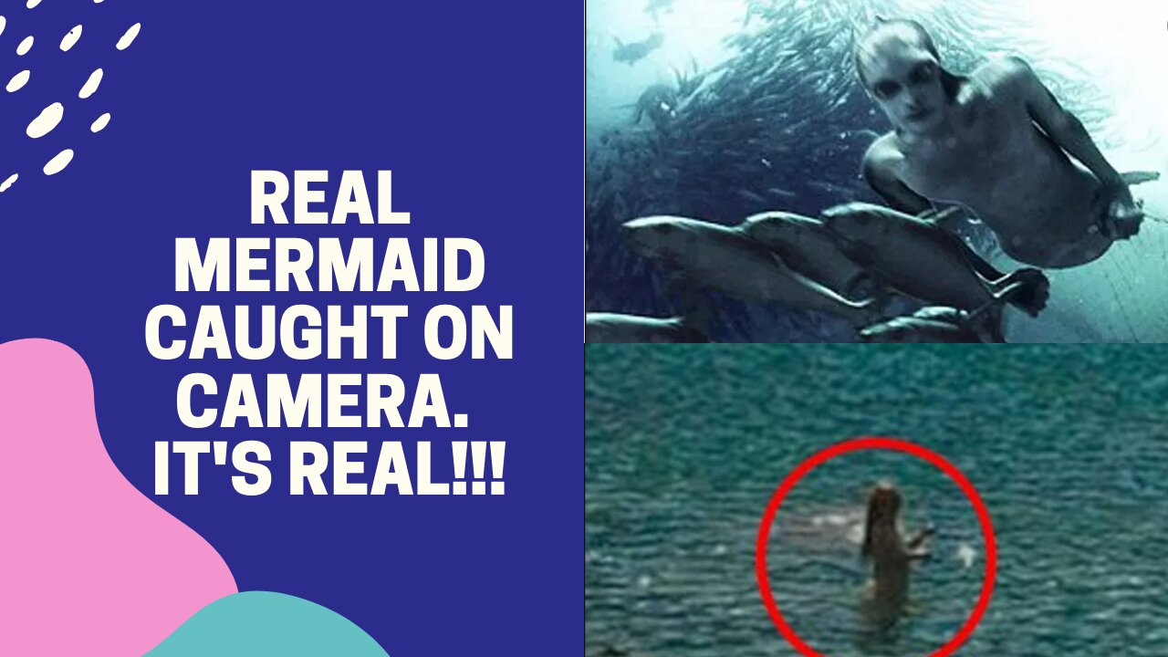 Real Mermaid Caught on Camera