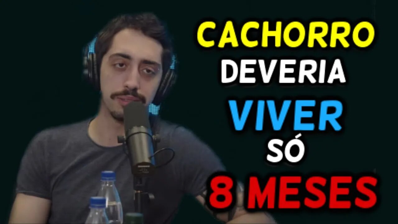 SE EU ME APEGAR A MEU CACHORRO E ELE MORRER EM POUCO TEMPO!! #Podpah