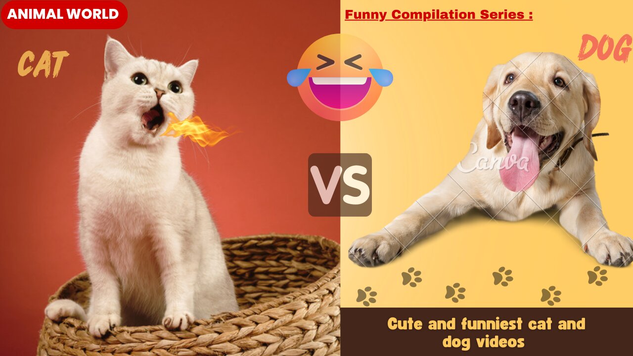 New Funny Animals π
Funniest Dogs And Cats Videos 2023πΆπΊ #1
