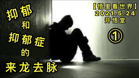 KWT1767(1)抑郁和抑郁症的来龙去脉20210524-2【悟里看世界】
