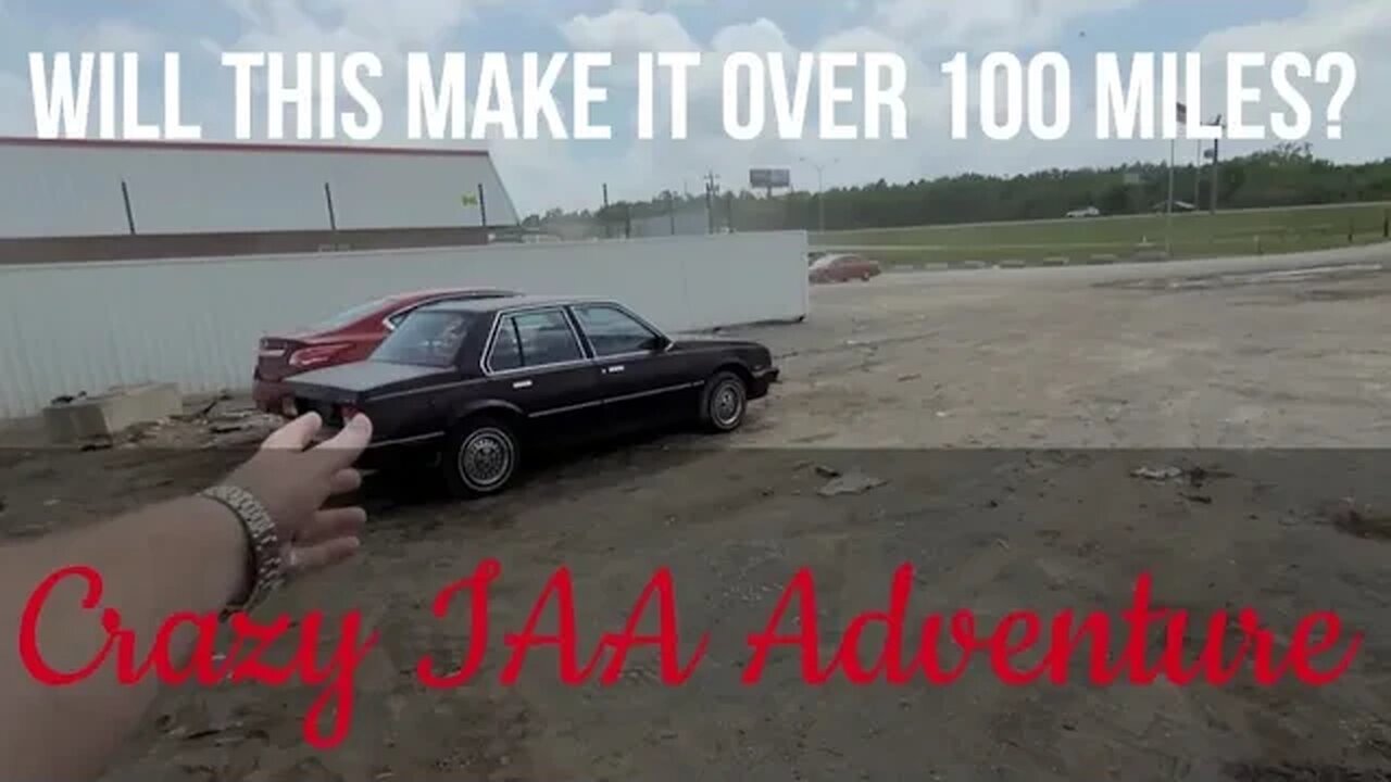 IAA Cavalier, El Camino, Cart? With @AutoAuctionRebuilds