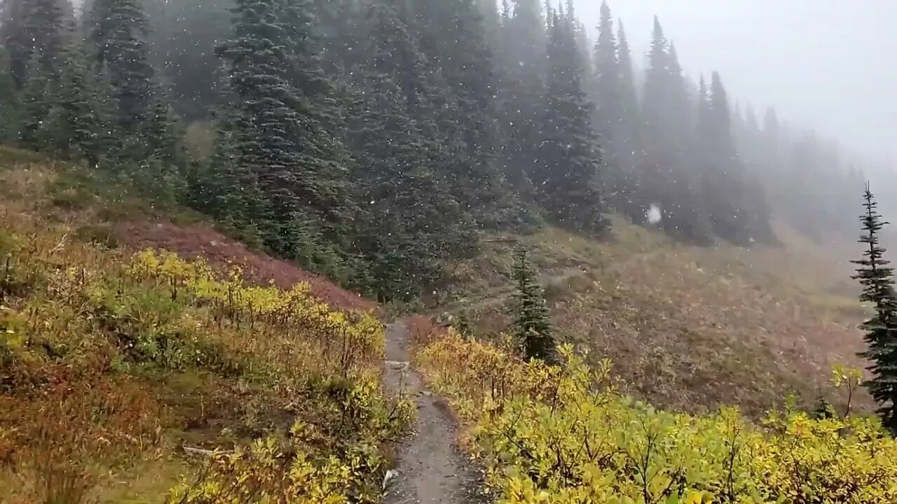 Garibaldi Provincial Park in BC