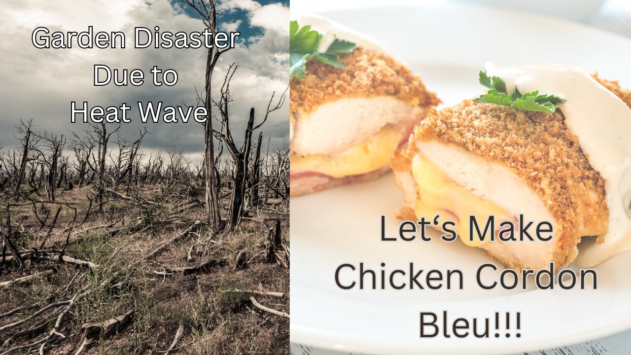 From Garden to Gourmet: Turning Garden Gloom into Chicken Cordon Bleu Bliss