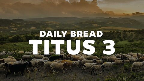 Daily Bread: Titus 3