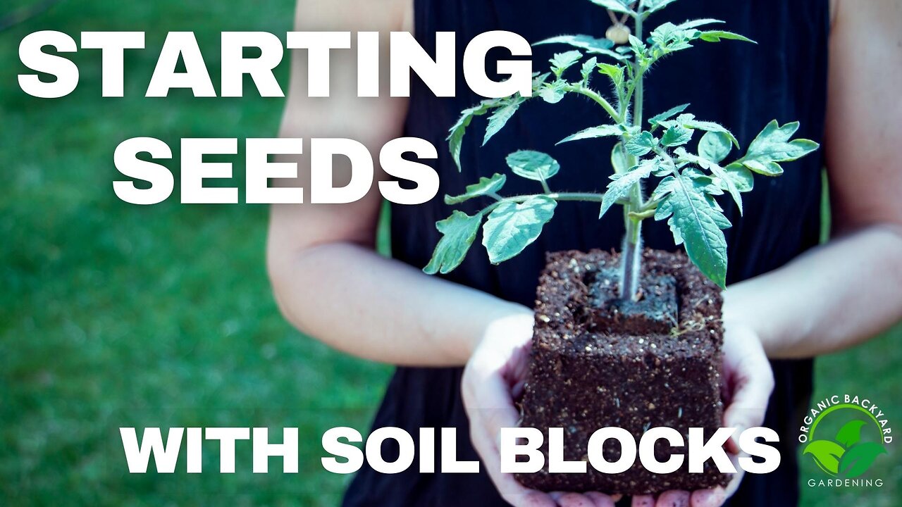 How to Use Soil Blocks for Seed Starting - Gardening Tips and Tricks