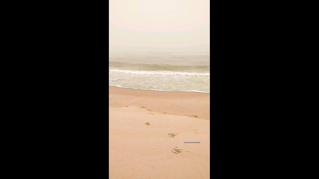 Foggy day at the beach ⛱️🏖️