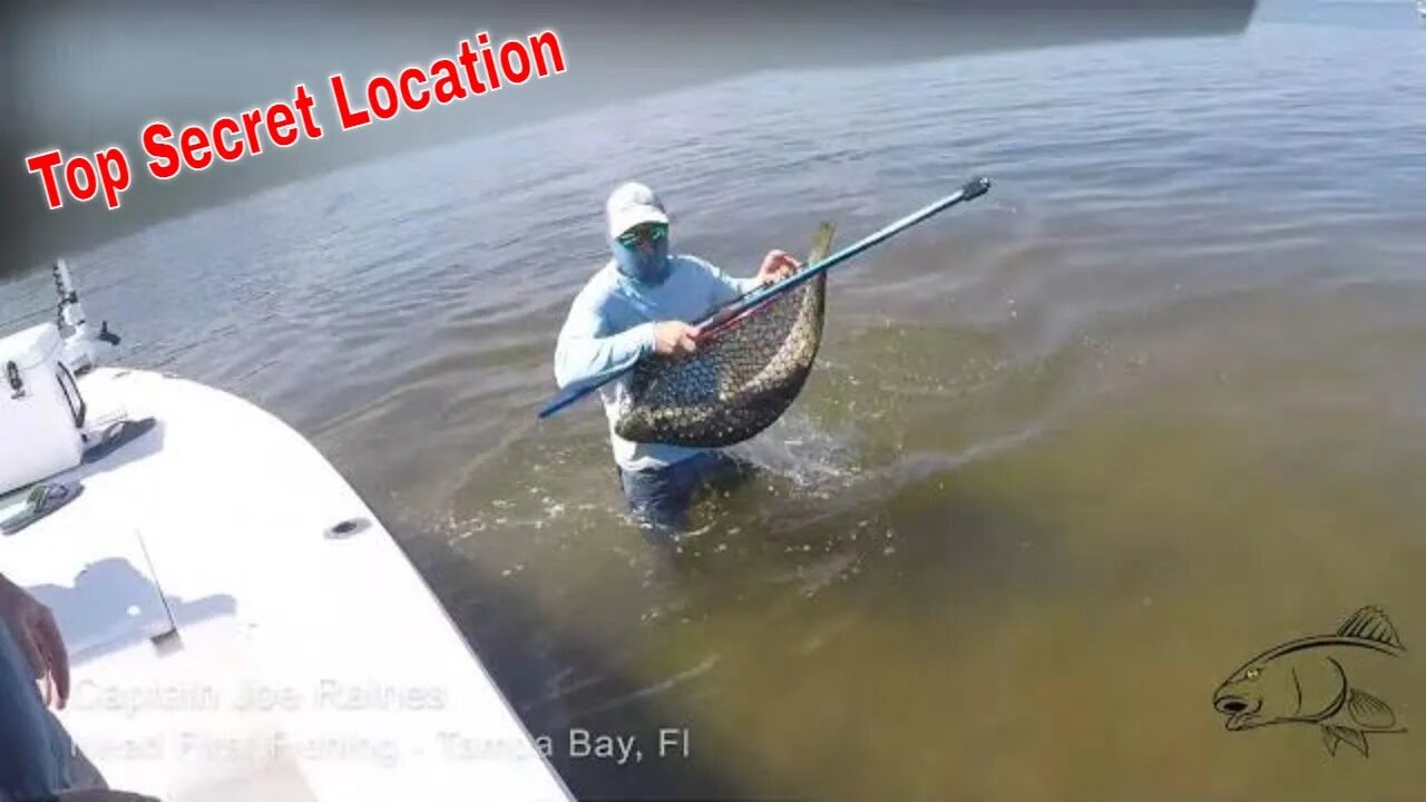 This HUGE SNOOK was NOT getting away! Tampa Snook Fishing