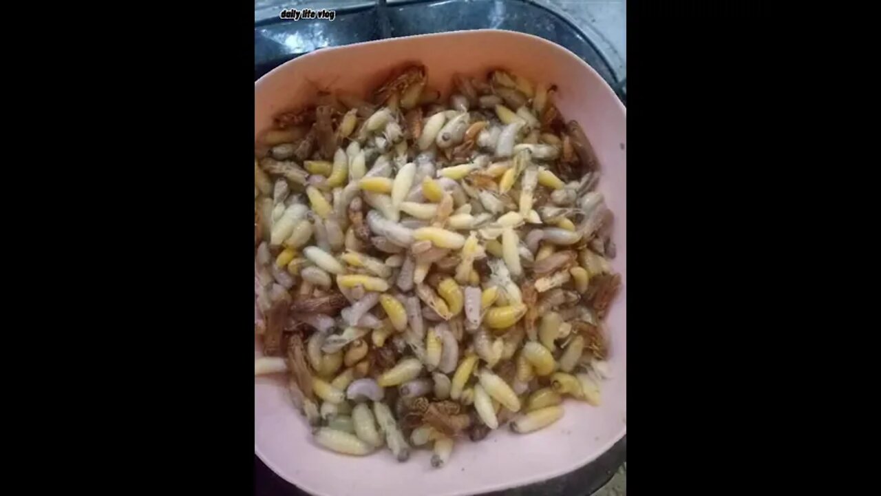 native food | daily life vlog