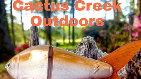 No Name Glide Bait by Cactus Creek Outdoors