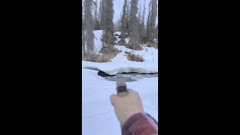 Glock 19x