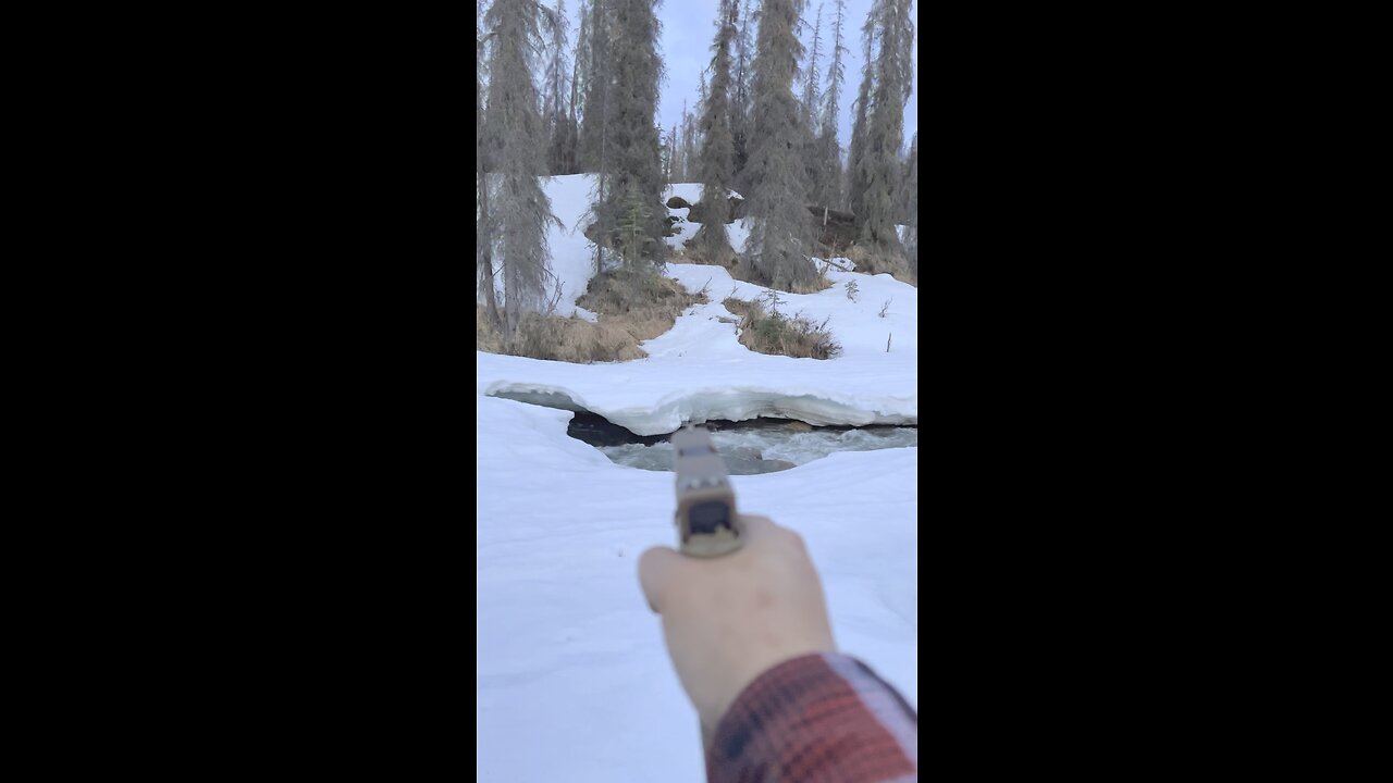 Glock 19x