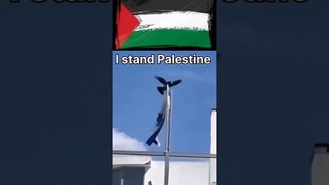 I Stand With Palestine #pti #duet #shortvideo #viral #youtube #youtubeshorts #imrankhanpti