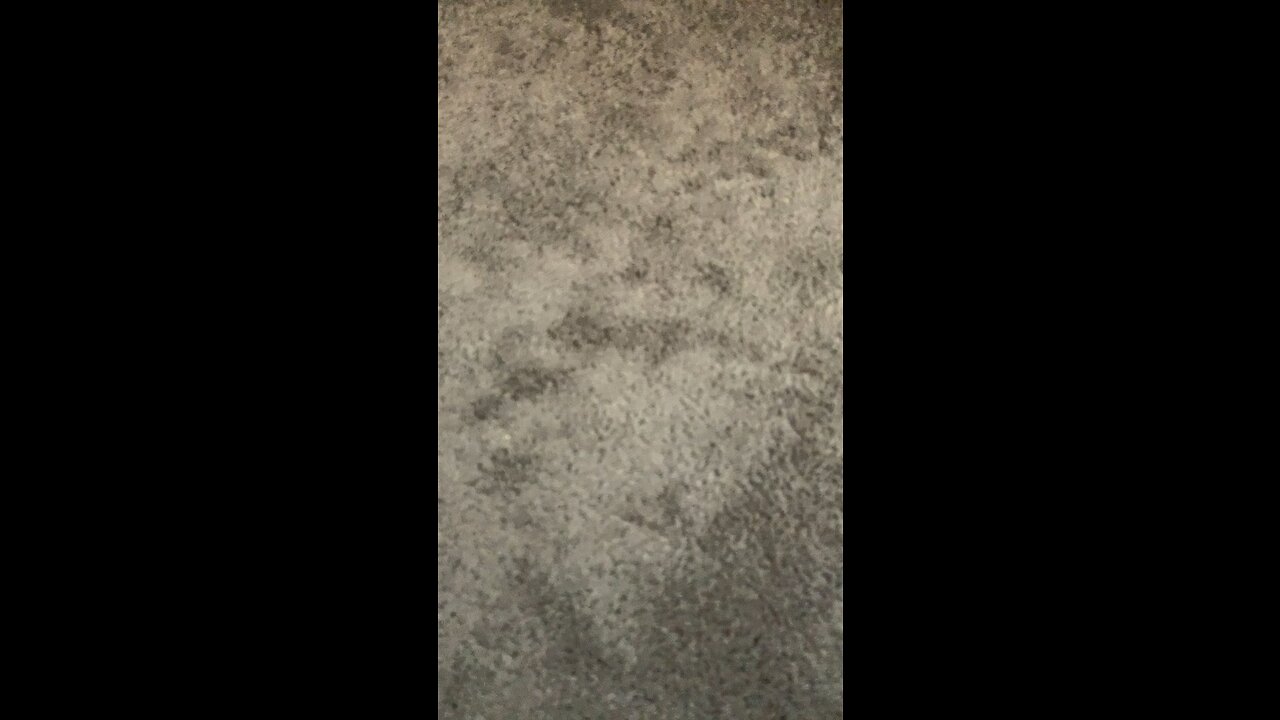 K41