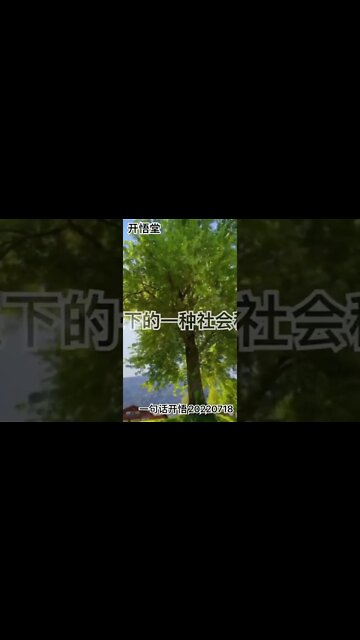 一句话开悟20220718