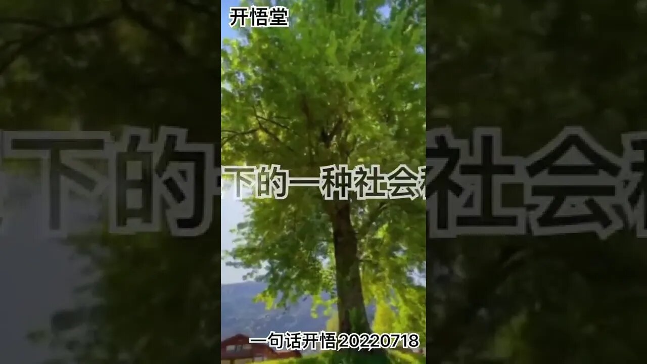 一句话开悟20220718