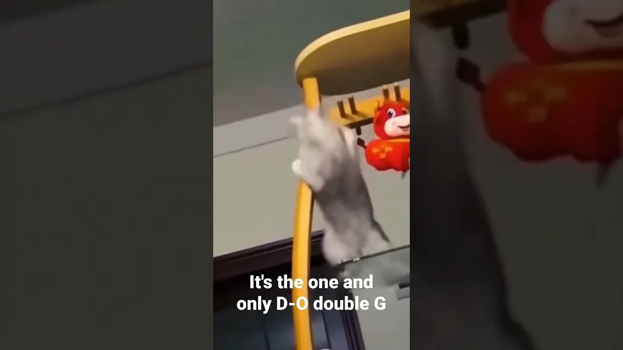 MEME is the one and only D-O double G #shorts