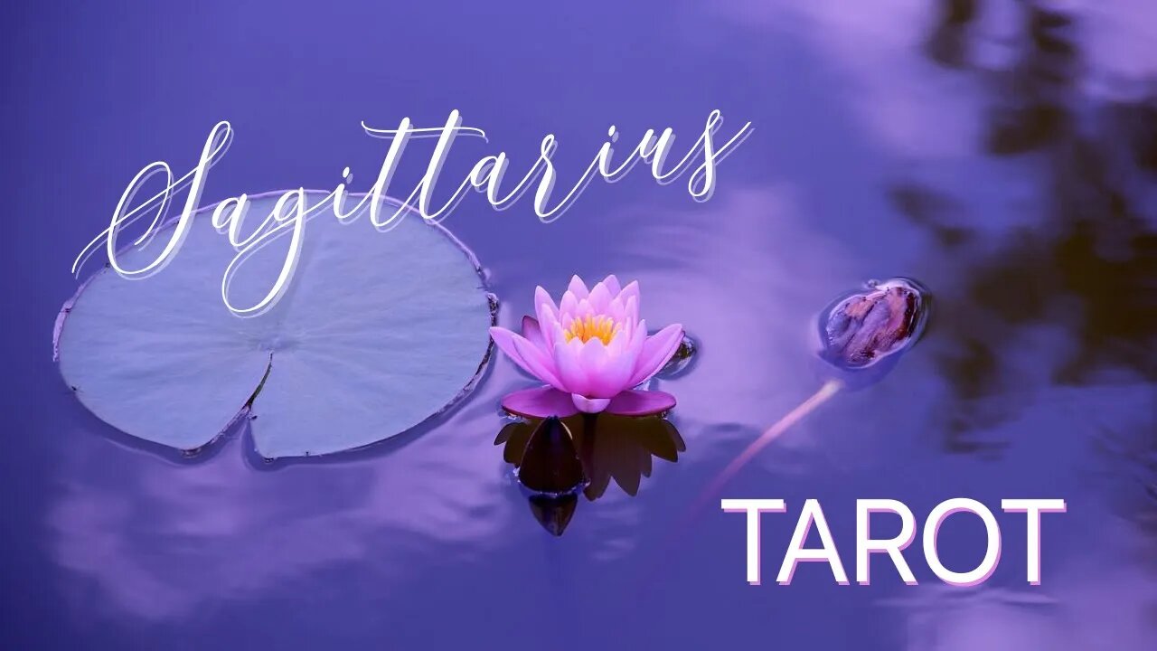 SAGITTARIUS NOVEMBER 2023 TAROT ♐️ YOUR LOVE TRAVELS TOWARDS YOU #sagittarius #tarot #oracle